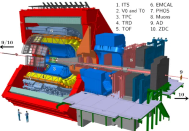 Figure 1: The ALICE detector system at the LHC.