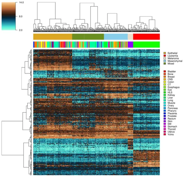 Figure 5: Heatmap and intra-class hierarchical clustering of 351 tumor-derived cell lines