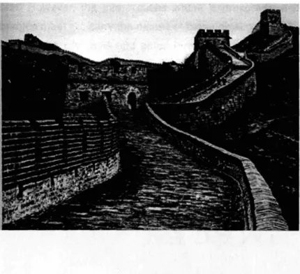 FIGURE 3.3 The &#34;Great Wall&#34; of China.