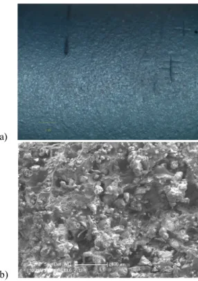 Figure 10: IP-TMF failed with ±0.3% mechanical strain in the temperature range of 300-800 o C : a) the specimen  surface; b) the fracture surface.