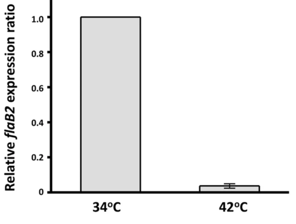 Figure 4 Click here to download Figure figure 4.tif 