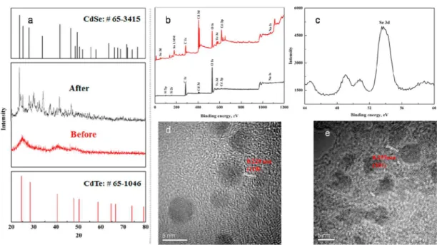 Figure 3. Structures of (CdTe) n clusters and the adsorption of H 2 Se on (CdTe) n clusters