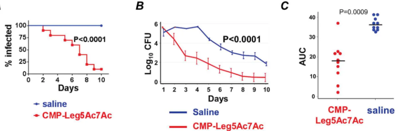 Fig 10. CMP-Leg5Ac7Ac treatment reduces the duration and burden of ceftriaxone-resistant (CRO-R) N