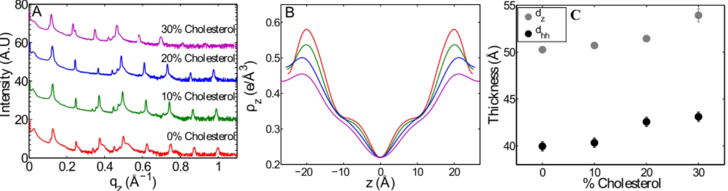 Figure 5. Effect of cholesterol on the lamellar spacing and thickness of mitochondria-like membranes
