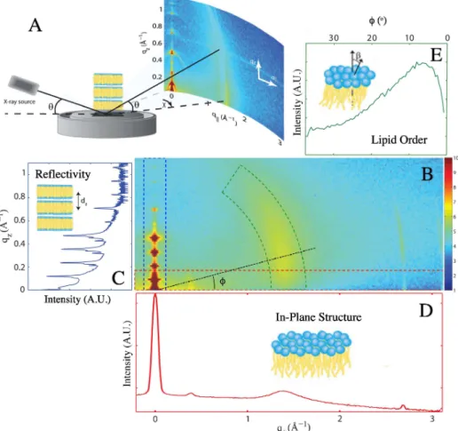 Figure 2. Extraction of one-dimensional scattering data from the 2D X-ray diffraction map