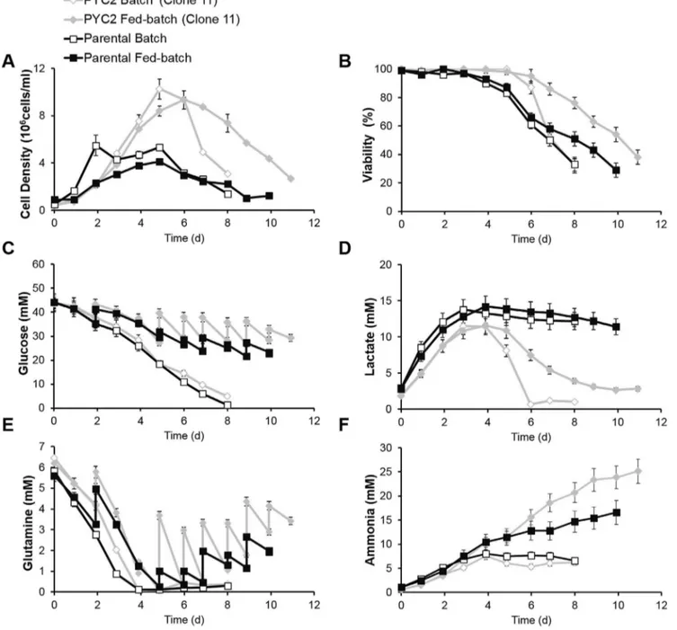 Fig. 5. (A) Cell density, (B) cell viability, (C) glucose, (D) lactate, (E) glutamine and (F) ammonia concentration profiles during batch and fed-batch cultivations of parental and PYC2-expressing cells in shake-flask cultures