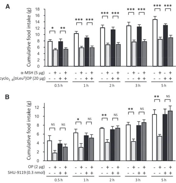 FIG. 5. MC3/4-Rs relay the anorexigenic effect of endozepines. A and B: Rats fasted for 18 h (from ZT8 to ZT26) received a single intra- intra-cerebroventricular injection containing the indicated substances diluted in 0.9% NaCl