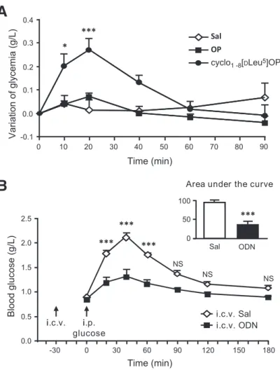FIG. 7. Peripheral blood glucose levels are regulated by central endozepines. A: Variation of glycemia in normally fed rats after an intra- intra-cerebroventricular (i.c.v.) injection at ZT2 of OP (2 m g), cyclo 1 – 8 [ D Leu 5 ]OP (20 m g), or saline vehi