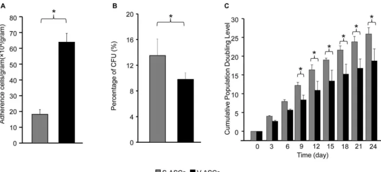 Figure 2.  Basic biological properties of the S-ASCs and V-ASCs. Frequencies of adherent cells in 1 g of subcutaneous and visceral fat  deposits (A), colony-forming unit percentage of the adherent cells from the two fat deposits (B), and cumulative populat