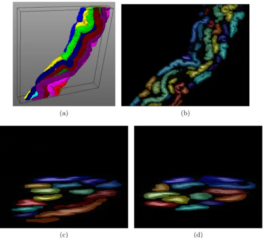 Figure 3: Results of the segmentation of the block 144 (red square in Figure 2). (a) 3D rendering of the labeling, Segmentation result superimposed on the data for (b) an XY plane, (c) an XZ plane and (d) a YZ plane.