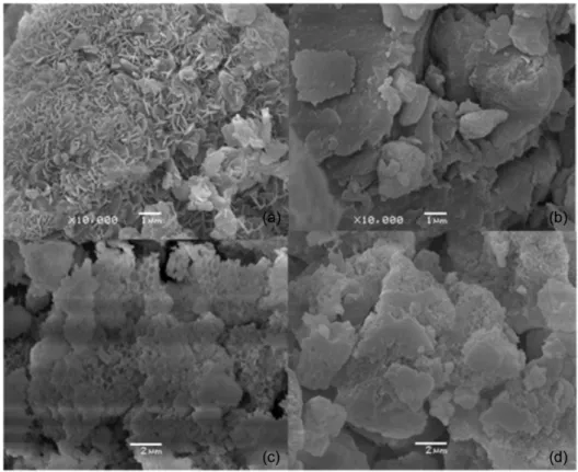 Figure 3. SEM micrographs of the solids (a) LDH-NO 3 ; (b) FeP-LDH-NO 3 ; (c) LDHM, and (d) FeP-LDHME.