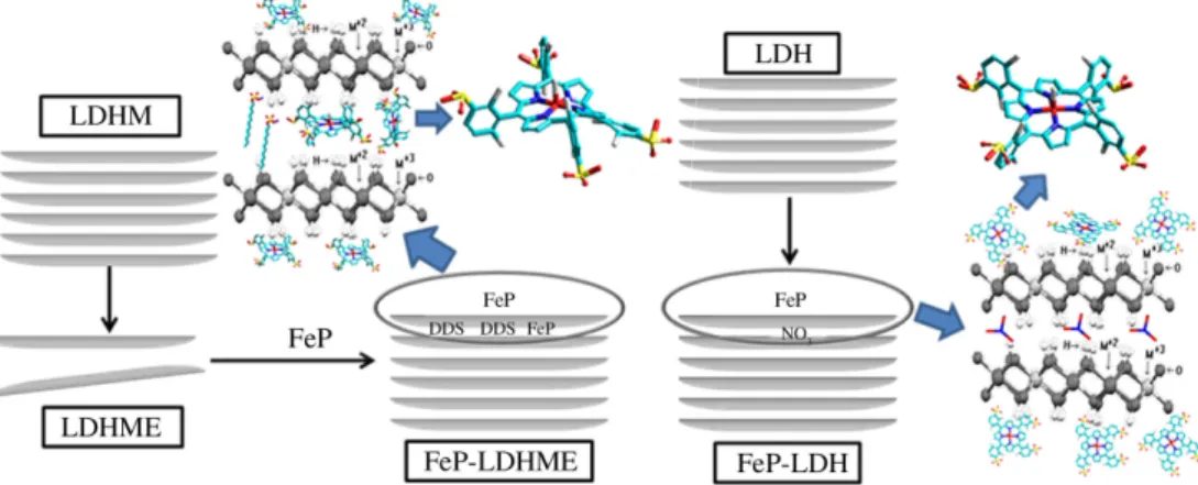 Table 1 presents the results from the oxidation of  (Z)-cyclooctene and cyclohexane by PhIO catalyzed by  FeP-LDH-NO 3  and FeP-LDHME