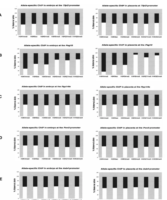 Figure 4. Allelic histone modifications at different promoter sites in mouse embryo and placenta