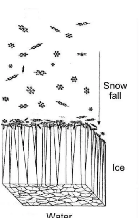 Figure 1: A common scenario for the  initiation and downward growth of an ice 