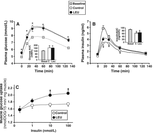 Fig. 2 Effects of a 6-month leucine supplementation in old rats on insulin sensitivity