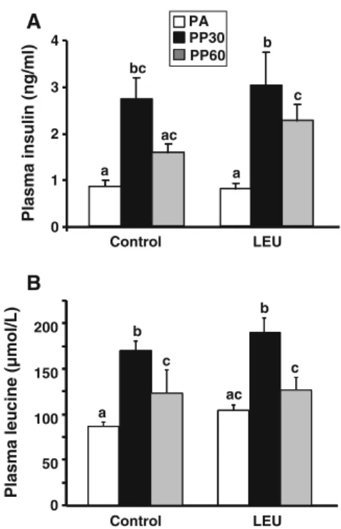 Fig. 3 Plasma insulin (a) and leucine (b) concentrations in control and leucine-supplemented old rats after an overnight food deprivation (PA), 30 min (PP30), or 60 min (PP60) after gavage with a nutrient bolus