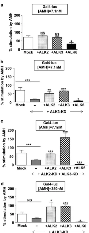 Figure 5 ALK2 can mediate AMH effect on Smad1 activation, whereas ALK6 has an antagonistic effect