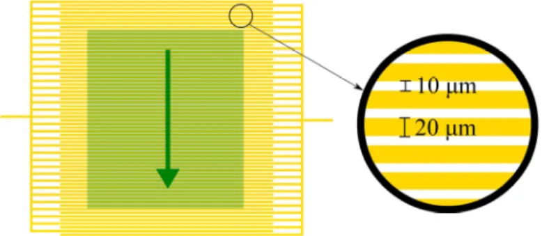 Figure 1. An example of gold IDE structure. The highlighted green region is the approximate  region where a simulation would be valid
