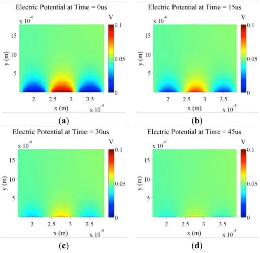 Figure 3. Simulation of the formation of electrical screening layers over time. Plots show  the electric potential of IDEs (5 µm digit width and 2.5 µm spacing) with 0.1 V DC applied  with a background KCl concentration of 150 µM