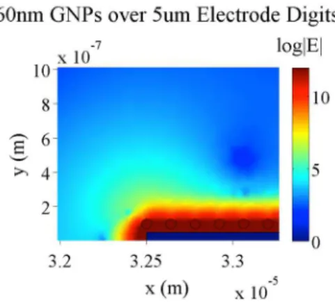 Figure 5. Electric field magnitude of a 5 µm gold electrode with 60 nm GNPs placed   20 nm above the electrode surface after 0.1 s to completely establish electric screening