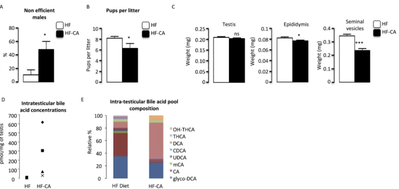 Fig 2. CA-supplementation alters male reproduction function in mice fed HF-CA diets versus HF-diet
