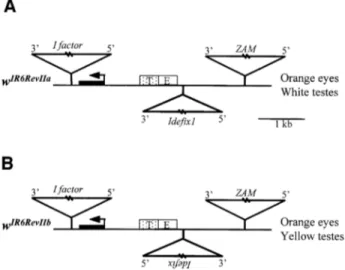 Figure 5A and B).