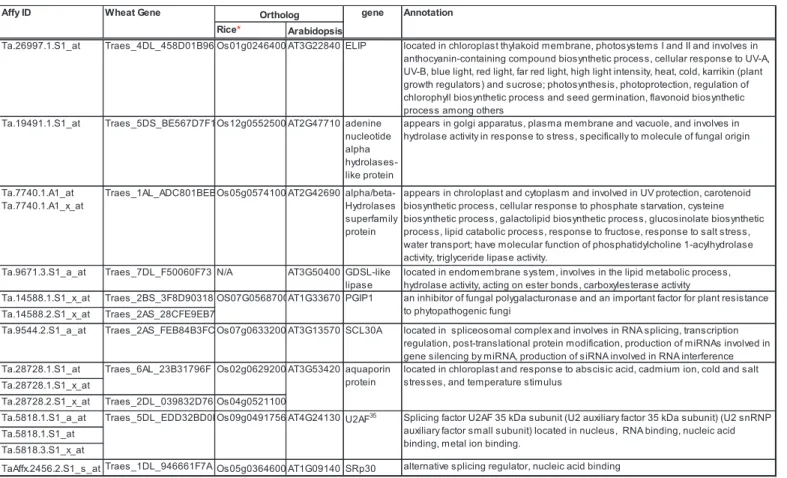 Table 3. Interesting network hug genes in clusters P and R from the second datasets and their annotations
