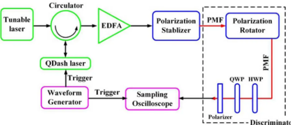 Fig. 5. Schematic of the experimental setup. PMF: polarization maintaining fibre; HWP: half- half-wave plate; QWP: quarter-half-wave plate