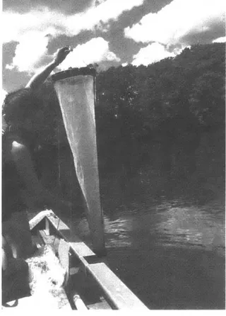 Figure S2.  Aniela  Cacciola  (MIT)  samples  zooplankton  off the  boat in  Lake  Cochituate,  MA