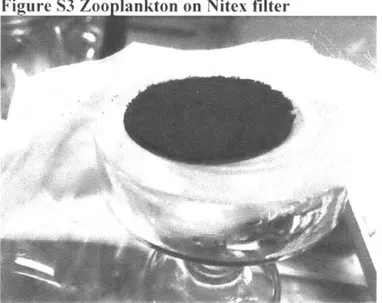 Figure  S4  Phytoplankton  (left)  and  zooplankton  (right)  DCM  extracts