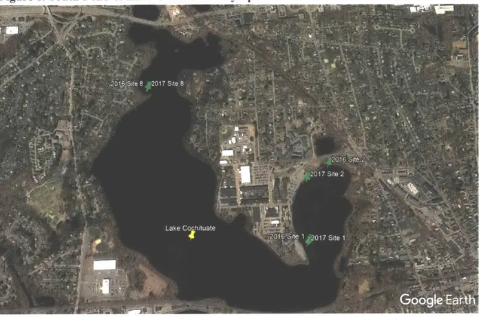Figure 1.  South  Pond  of Lake  Cochituate  Phytoplankton  Sites