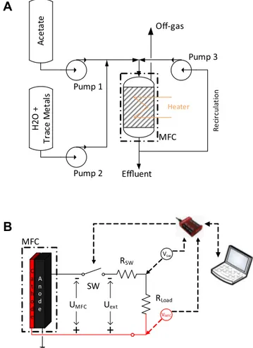 Fig. 1. Schematic diagrams of the experimental setup (A) and electrical circuit (B).