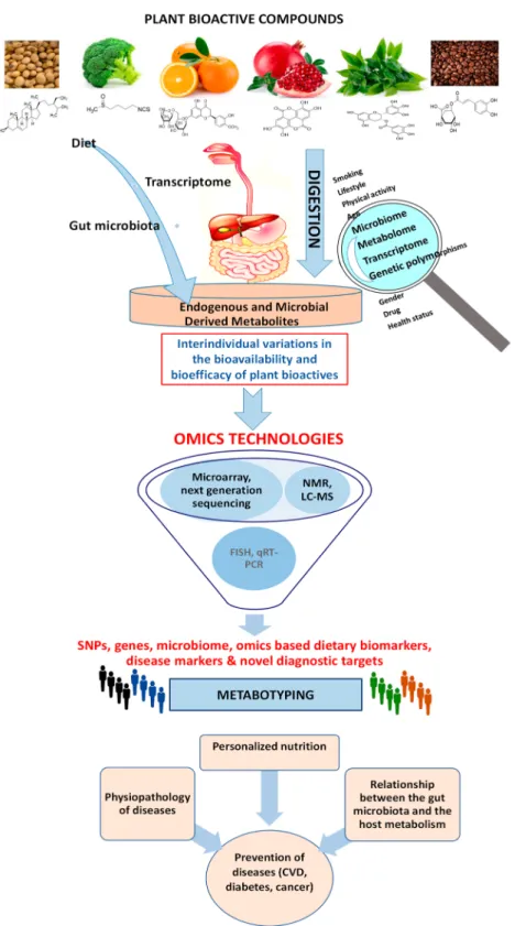 Figure 1. Overview of the role of omics technologies in the study of the eﬀects of plant bioactives on health while considering interindividual variability.