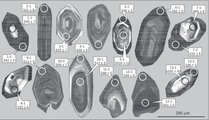 Fig. 3 Cathodoluminescence images of zircons analyzed from granodiorite ZG 2. Analytical spots correspond to those in Tab