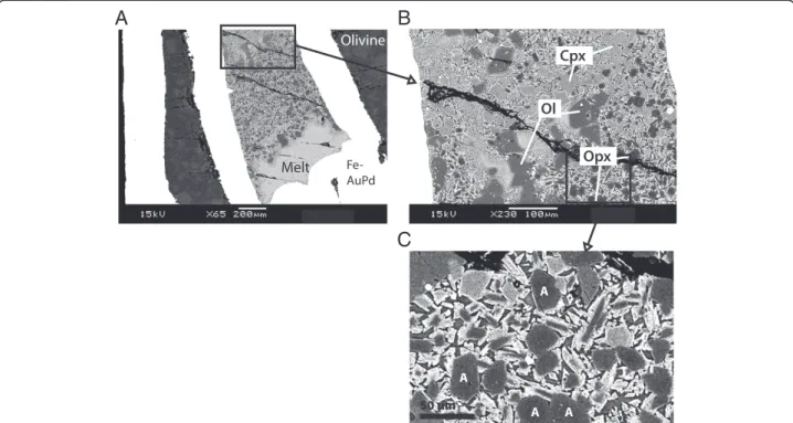 Figure 1 shows back-scattered electron images (BSE) of sample CD2H3. Sample textures are appropriate for microanalysis since pools of homogeneous quenched melt are segregated from crystal grains