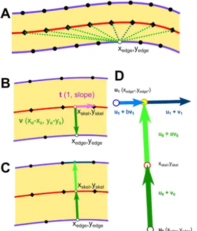 Fig 10. Diagram showing relationship between line edge points, skeleton points, and the vectors used to determine edge positions and line-widths for LER and LWR