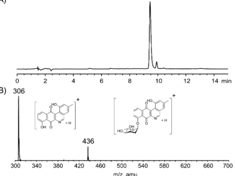 Figure 3. (A) Key 1 H− 1 H COSY (bold), 1 H− 13 C HMBC (solid arrows), and 1 H− 15 N HMBC (bold arrow) correlations in 1; (B) key NOESY (dashed arrows) correlations of 1; (C) δ H and δ C values of H5 and C5 associated with the compounds L -digitoxosyl-dehy