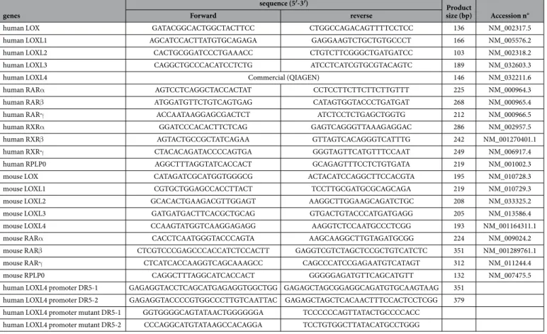 Table 1.   Sequences of oligonucleotides used for RT-PCR, RT-qPCR, cloning and mutagenesis.