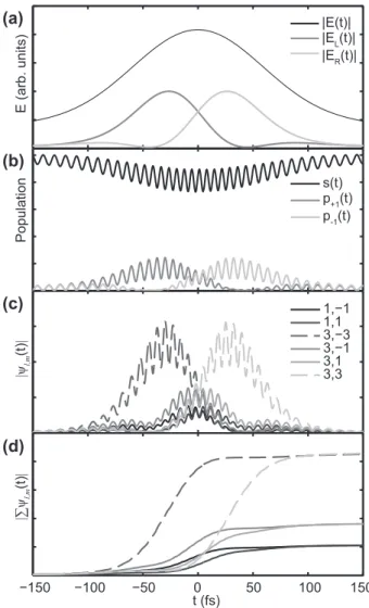 FIG. 1. Time-dependent dynamics for an elliptically polarized laser pulse. (a) Laser-field envelope for an elliptically polarized pulse, defined by φ y = 0.5 rad [Eq