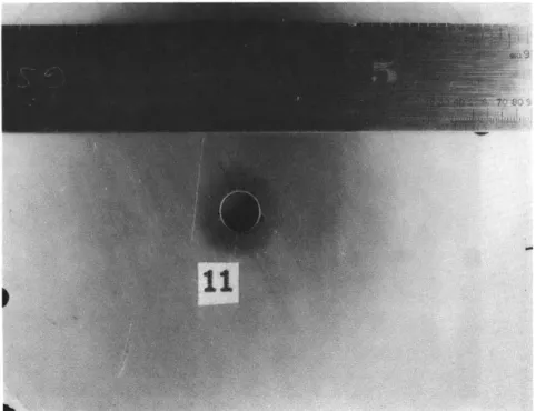FIG.  8(c).  FOOTPRINTS  ON  MATED PAIR OF  3/16  INCH  PLATES.