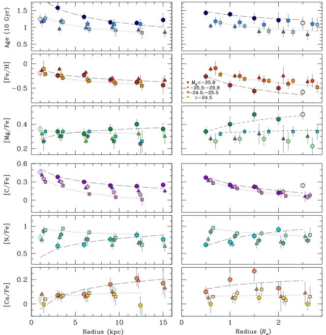 Figure 6. Radial gradients in age, [Fe/H], [Mg/Fe], [C/Fe], [N/Fe], and [Ca/Fe] as above, but now in bins of M K (mag; a proxy for stellar mass) rather than stellar velocity dispersion