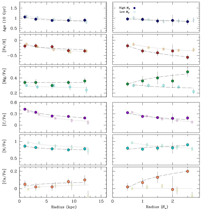 Figure 7. Radial gradients in age, [Fe/H], [Mg/Fe], [C/Fe], [N/Fe], and [Ca/Fe] as above, but now in s * -matched bins of M K (mag; a proxy for stellar mass)