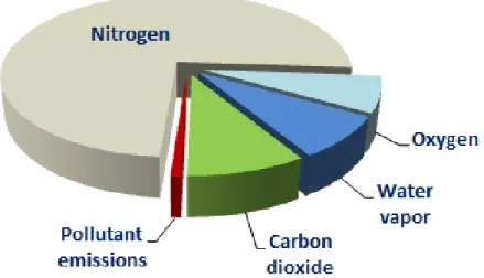 Figure 1 illustrates the breakdown of all products that are emitted from a diesel engine