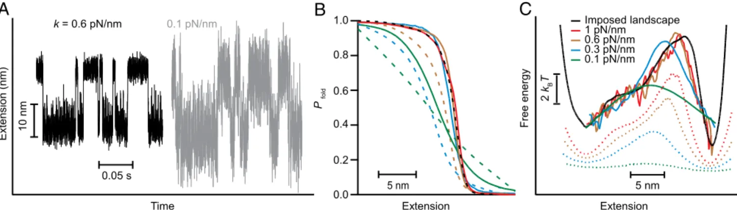 Fig. 6. Simulations of effect of tether stiffness on p fold and landscape reconstruction