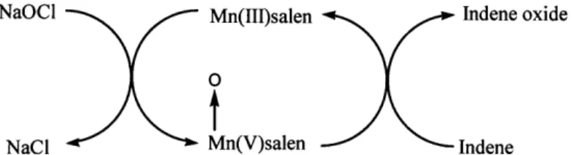 Figure  2c.  The  cyclic  oxidation  of  indene by  NaOCl through  MnLCl  in  the  biphasic reactor  system resembles the  enzymatic  electron transfer  system of bacterial oxygenase systems,  shown  in figure  3 (Senanayake  et  al