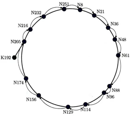 Figure  2-2:  Successor pointers in a  Chord ring lookups  even  as  nodes  constantly  join  and  leave  the  system  [39].
