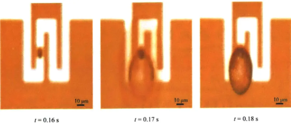 Figure 3-13.  Bubble  Formation on Serpentine Resistor  with Etched Cavity.