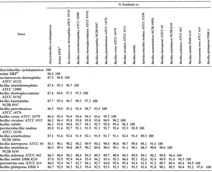 TABLE  1. 16s rRNA similarity matrbf  %  Similarity to:  Taxon  B  Y  L d   -  m  Y  Alicyclobacillus cycloheptanicus  100  Isolate DKPT  86.4  100  Saccharococcus thermophilus  87.3  94.0  100  Bacillus stearothermophilus  87.4  93.3  96.7  100  Bacillus 