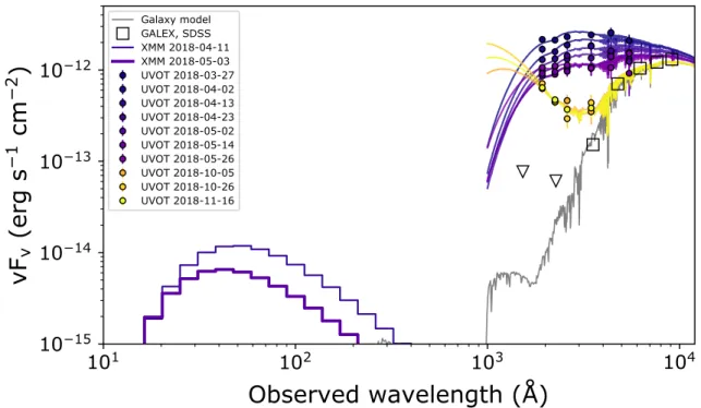 Figure 2. Spectral energy distribution. Gray open symbols indicate the host galaxy photometry (from SDSS and GALEX, obtained before the flare) and the best-fit synthetic galaxy spectrum is shown by the thin gray line