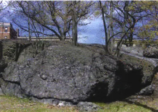 Fig 1.3.  Puddingstone south of Seaver Street  in Franklin  Park.  Photo  by author.